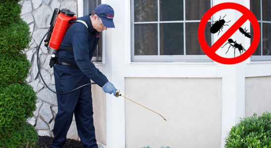 Yağlıdere Böcek İlaçlama böcek ilaçlama ve haşere kontrolü — ilaclama-tr.com